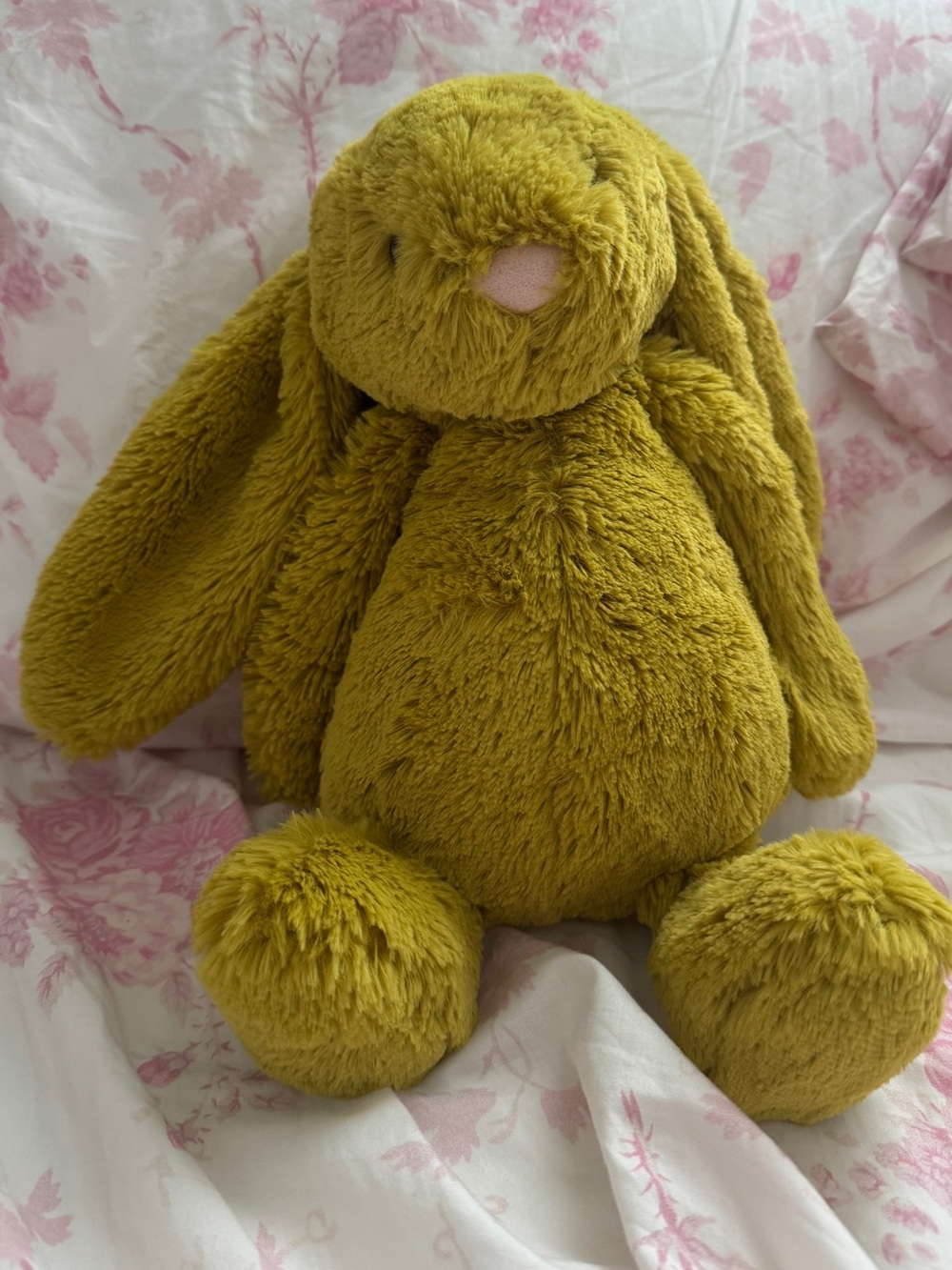 Jellycat RARE Bashful Zingy Bunny